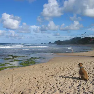 Round House 2* Bathsheba